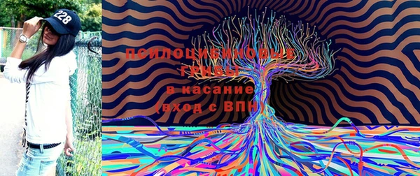 соль ск Абинск
