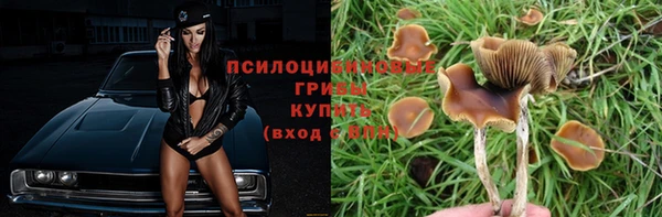 героин Алексин