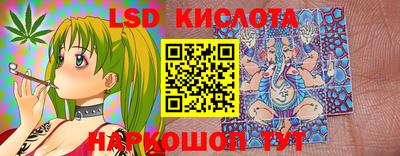 прущие крисы Гатчина