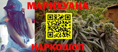 прущие крисы Гатчина