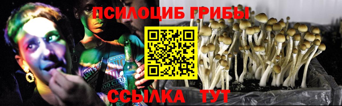 Галлюциногенные грибы GOLDEN TEACHER Рязань